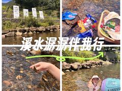 -北仑森林植物园