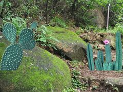 -云峰山自然风景区