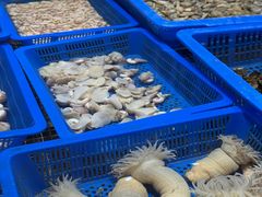 -阿毛饭店·宁波老字号(儿童公园旗舰店)