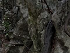 -杭州西湖风景名胜区-三生石