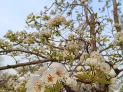 -元大都城垣遗址公园