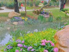 -人民公园(罗湖区)