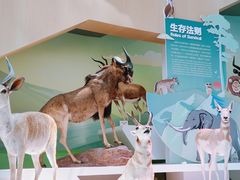 -陕西自然博物馆