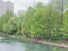 -诺贝尔湖公园