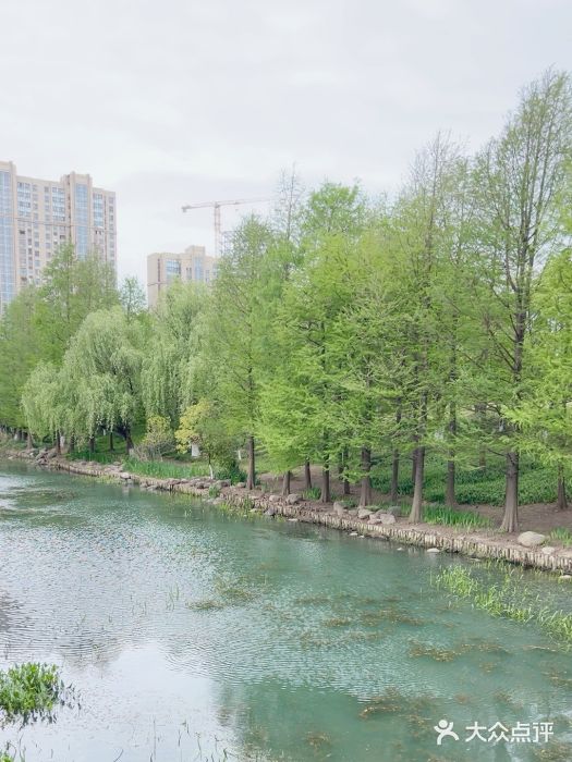 诺贝尔湖公园图片