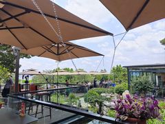 -蘇河湾·新鲁菜·泰山宴(泰山店)