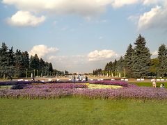 -莫斯科大学