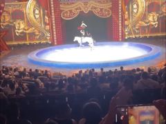 -珠海横琴长隆《卡卡虎奇遇记》