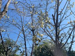 -梁鸿国家湿地公园