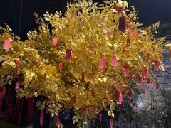 -皮市街