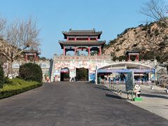 -西霞口神雕山野生动物世界