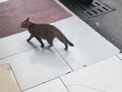 -海底捞火锅(新华联梦想城店)