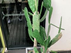 -Liking Fit24小时智能健身(金汇路韩国街店)