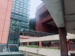 -香港大学