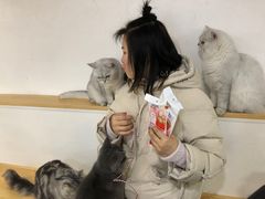 -李小姐の猫咖啡馆(五角场店)