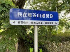 -前童古镇