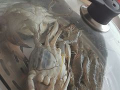 -港畔赶海蒸汽海鲜烧烤自助(仙螺岛店)