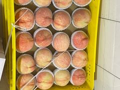 -老袁家蜜桃农场·阳山水蜜桃