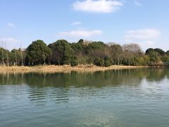 -昆山城市生态森林公园