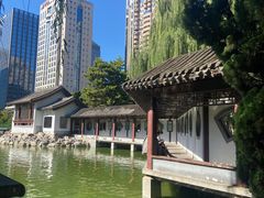 -团结湖公园