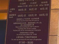 -迪士尼乐园停车场