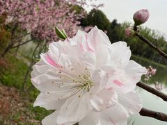 -昆山城市生态森林公园