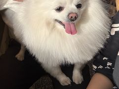 -小意思咖啡店(草桥店)