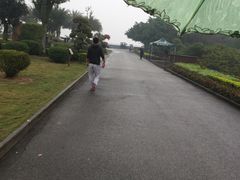 -大湾区中央湿地公园