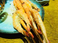 -海桐