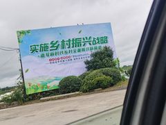 -渌洋湖湿地公园