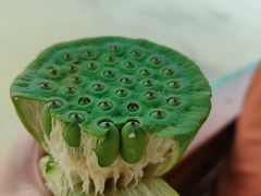 -白洋淀景区