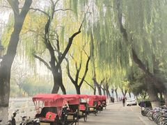-后海公园