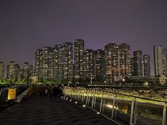-南京眼步行桥