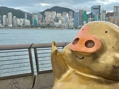 -星光大道
