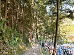 -楠溪江风景名胜区