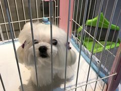 -听TA说宠咖·宠物生活馆(天韵水岸店)