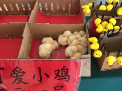 -兴芮温泉度假区