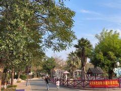 -灵玲国际马戏城