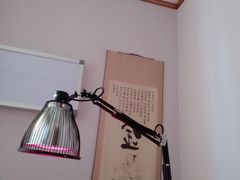 -弘善堂推拿调理