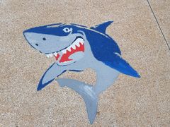 -重庆海昌加勒比海水世界