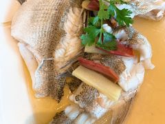 清蒸钱塘江白鲈-知味观(湖滨总店)