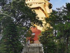 -大金鹰园