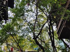 -重庆十八梯传统风貌区