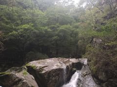 -牛背梁国家森林公园