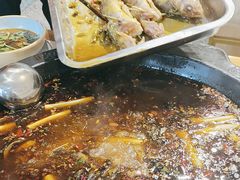 -费明中罗非鱼(大石坝店)