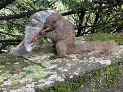 -苍山感通索道