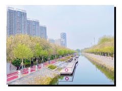 -大望京公园