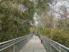 -佛山华盖山公园