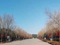 -铁谢李松祖传羊肉汤馆