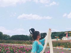 -松山湖南湖湾露营营地